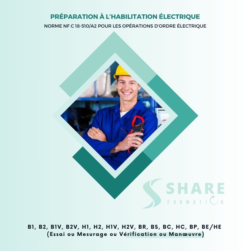 Support cours Habilitation électrique Share Formation